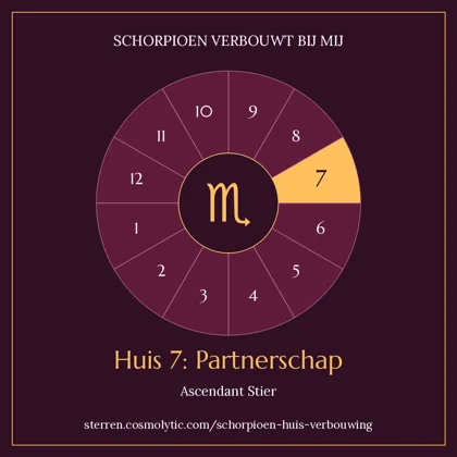 Huisbadge voor ascendant Stier: Schorpioen in huis 7, partnerschap, met één amberkleurig segment op wijnrood