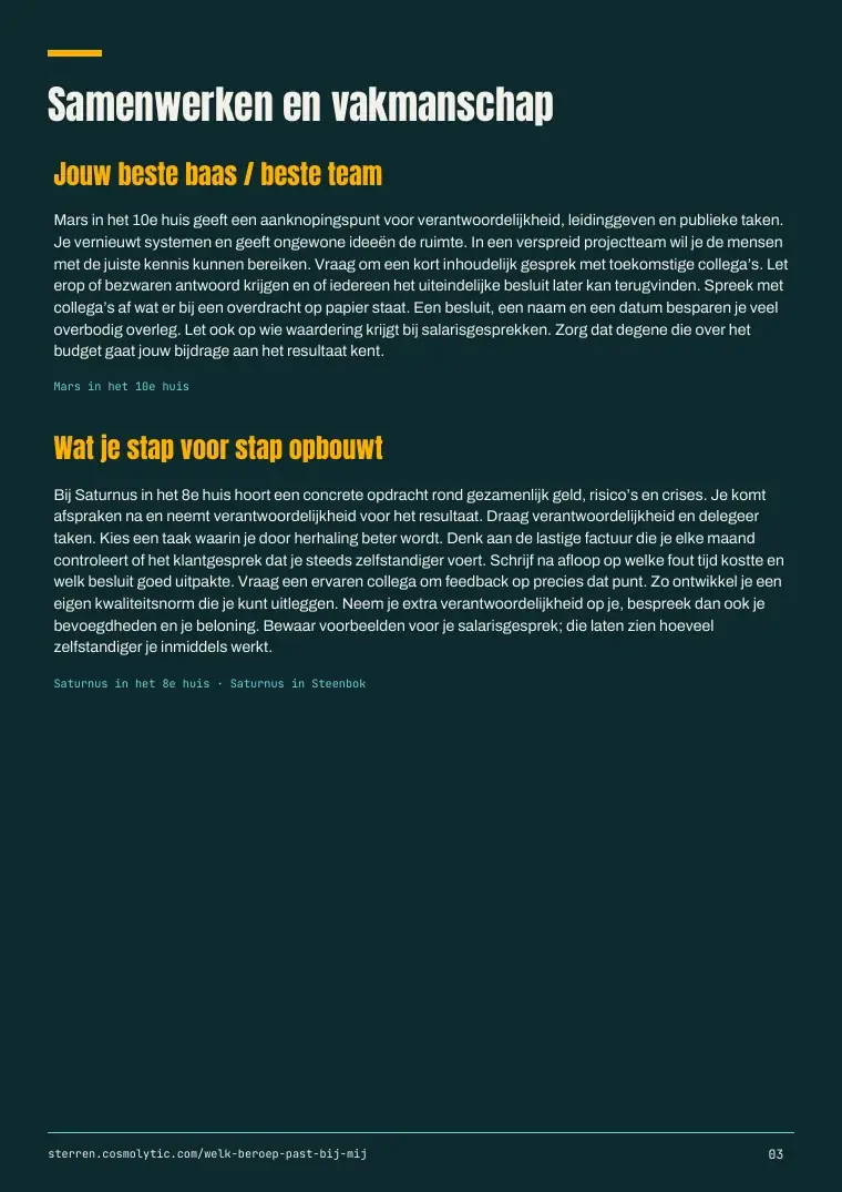 Miriams voorbeeld-PDF, pagina 3: samenwerken en vakmanschap